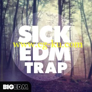 Big EDM – Sick EDM Trap MULTiFORMAT的图片1