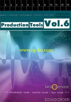 Best Service Production Tools Vol 6 MULTiFORMAT DVDR-KRock的图片1