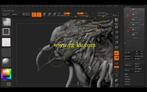 ZBrush 创建一个森林怪物的图片1