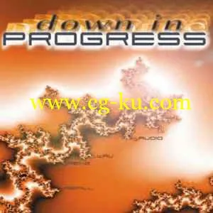 Best Service Down In Progress MULTiFORMAT-TNC的图片1