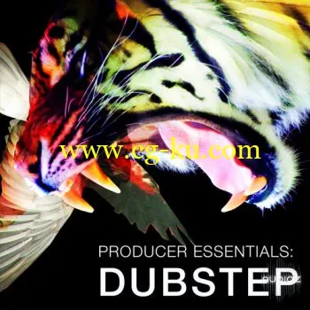 SPF Samplers Producer Essentials Dubstep ACID WAV NI Massive Presets-MAGNETRiXX的图片1