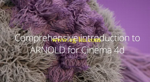 Mographplus – Comprehensive Introduction to ARNOLD for Cinema 4d的图片1