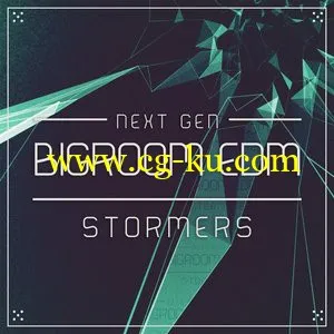 Next Generation Audio Bigroom EDM Stormers WAV MiDi的图片1