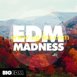 Big EDM – EDM Madness MULTiFORMAT的图片1