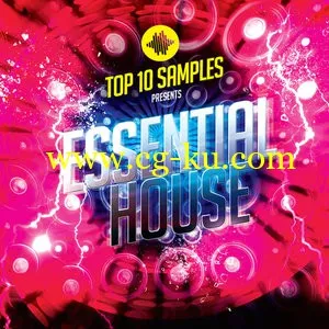 Top 10 Samples Essential House MULTiFORMAT的图片1