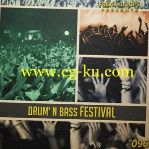 Freaky Loops – Drum N Bass Festival WAV的图片1