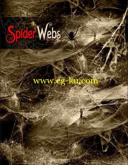 Spider Webs（蜘蛛网)的图片1