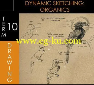 Foundation Patreon Term 10 – Dynamic Sketching Organics的图片1