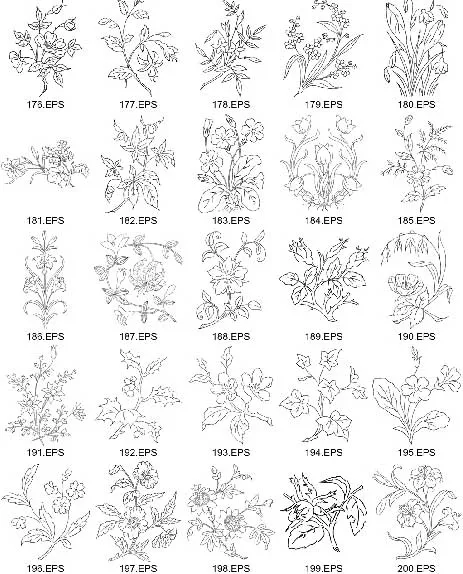 56套288款秘密花园白描花卉植物矢量素材打包的图片2