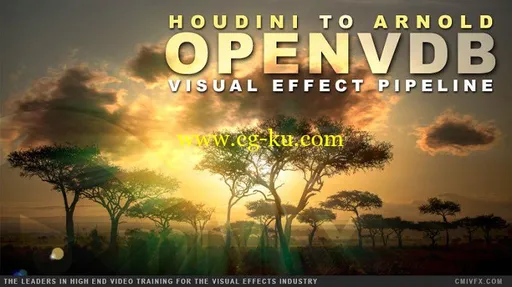 cmiVFX – Houdini Arnold VDB Workflow的图片1