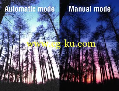 Improve your Photography – Learn why AUTO mode can fail, and how to use MANUAL mode to TAKE CONTROL的图片1