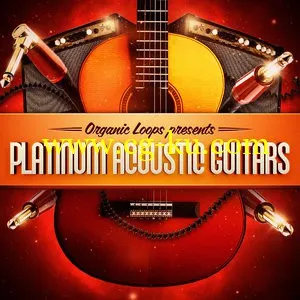 Organic Loops Platinum Acoustic Guitars WAV REX的图片1