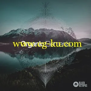 Black Octopus Sound – Organic Elements [WAV MiDi Ni Massive]的图片1