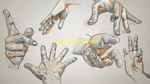 Drawing the Arms & Hands + Project Files的图片1