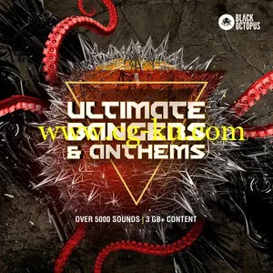 Black Octopus Sound – Ultimate Bangers and Anthems WAV MiDi的图片1