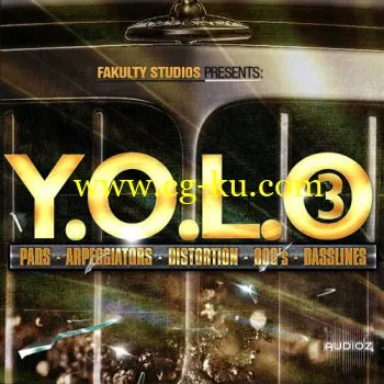 Fakulty Studios Y.O.L.O. 3.0 ACID WAV APPLE LOOPS的图片1