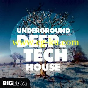 音效素材Big EDM – Underground Deep and Tech House MULTiFORMAT的图片1