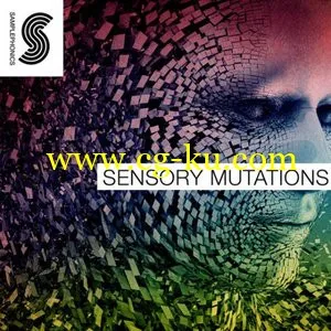 音效素材Samplephonics Sensory Mutations MULTiFORMAT的图片1