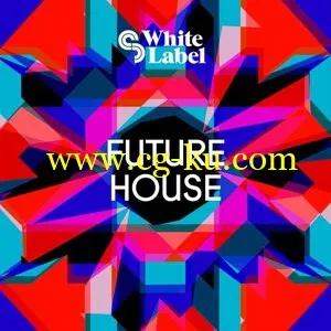 音效素材SM White Label Future House [ACID WAV REX2 AiFF]的图片1