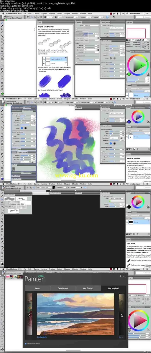 Getting Started with Corel Painter 2016 Training Video (8th Jan 2016)的图片1