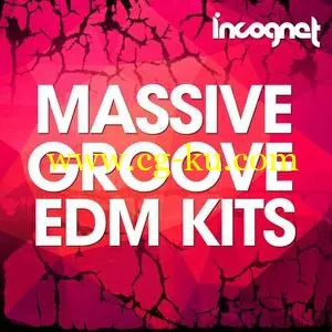 音效下载Incognet Massive Groove EDM Kits WAV MiDi SYLENTH SPiRE的图片1