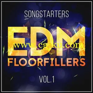 音效下载Mainroom Warehouse EDM Floorfillers Songstarters Vol 1 WAV MiDi的图片1