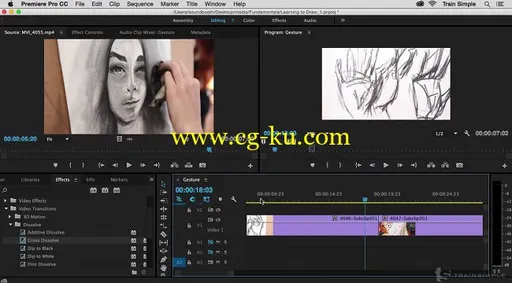 Premiere Pro CC Fundamentals的图片1