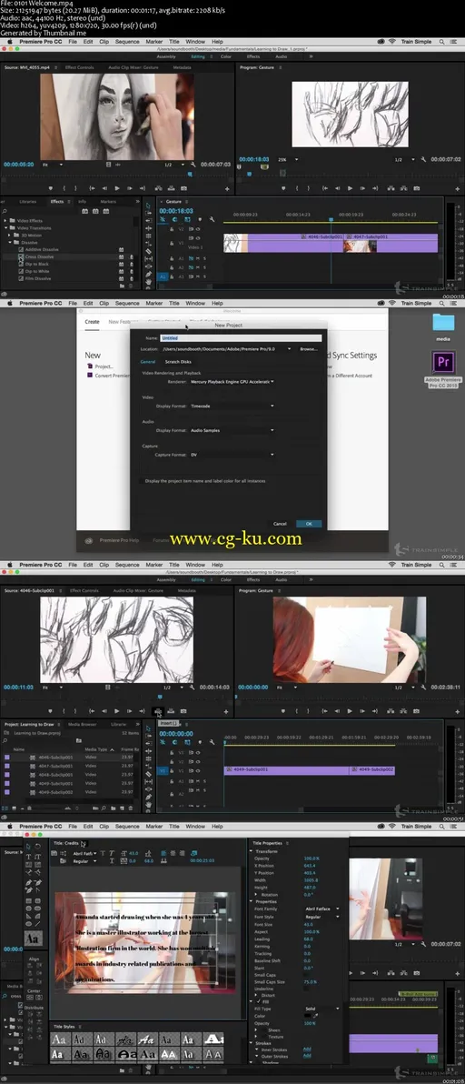 Premiere Pro CC Fundamentals的图片1