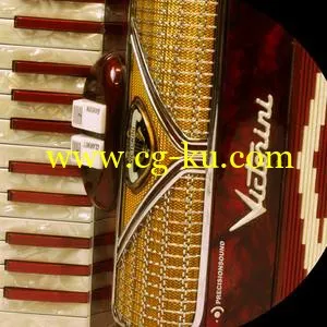 音效下载Precisionsound Victorini Accordion MULTiFORMAT的图片1