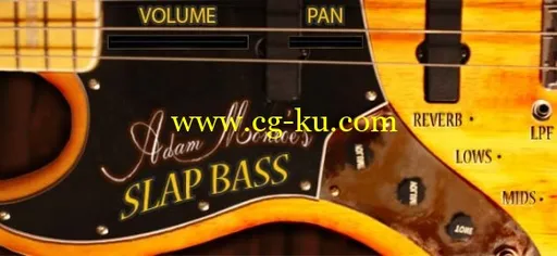 音效下载Adam Monroe Music Slap Bass v1.1 KONTAKT VST AU的图片1