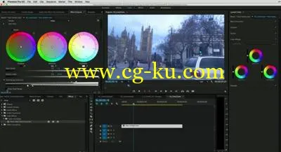 Color Catastrophe Fixing Common Color Problems with Adobe Premiere Pro的图片1