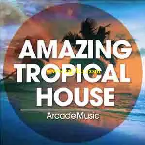 音效下载ArcadeMusic Amazing Tropical House WAV MiDi Ni MASSiVE PRESETS FL STUDiO PROJECT的图片1