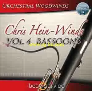 音效下载Best Service Chris Hein Winds Vol 4 Bassoons KONTAKT的图片1