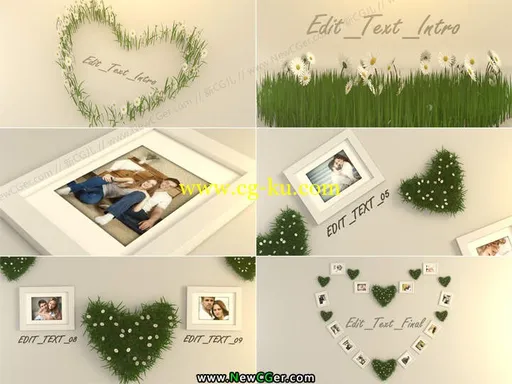 3D+后期,精致优雅的爱心花草相框展示AE模板的图片1