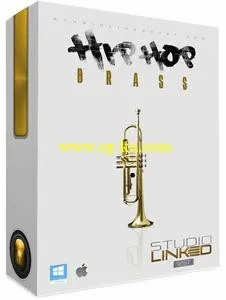 音效下载Studiolinkedvst Hip Hop Brass KONTAKT的图片1