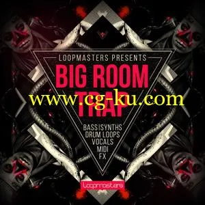 音效下载Loopmasters Big Room Trap MULTiFORMAT的图片1