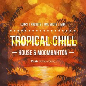 音效下载Push Button Bang – Tropical Chill: House and Moombahton WAV MiDi Sylenth and Spire Presets的图片1