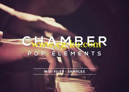 音效下载Sample Foundry Chamber Pop Elements ACID WAV MIDI的图片1