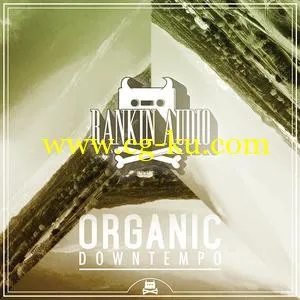 音效下载Rankin Audio – Organic Downtempo WAV的图片1