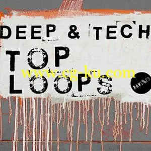 音效下载Raw Loops – Deep and Tech Top Loops WAV的图片1