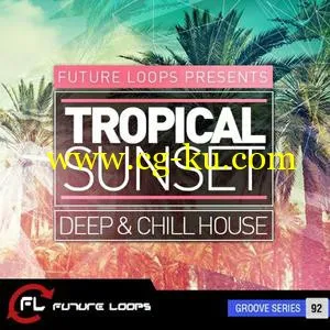 音效下载Future Loops – Tropical Sunset – Deep and Chill House WAV REX的图片1