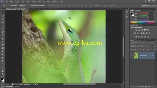 Introduction to Photoshop CS6的图片2