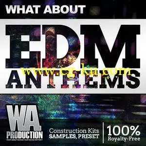 音效下载WA Production What About EDM Anthems ACiD WAV MiDi的图片1