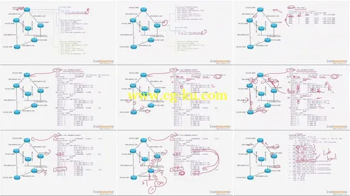 Intermediate System To Intermediate System (IS-IS) Routing Protocol LiveLessons的图片2