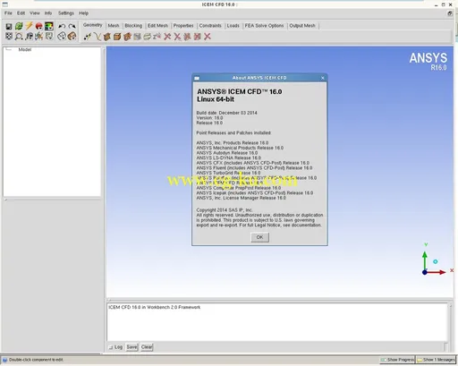 ANSYS Products 16.0 Linux64的图片2