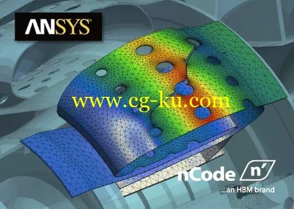 ANSYS 16.2 NCode DesignLife 11.0 Win/Linux的图片1