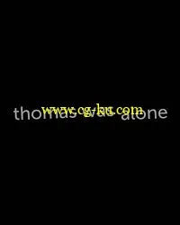 Thomas Was Alone MacOSX的图片1