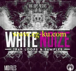 音效下载King Loops White Noize Vol 1 WAV MiDi的图片1