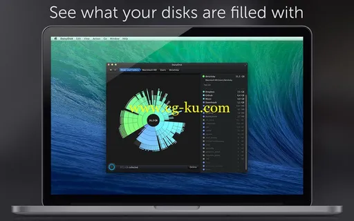 DaisyDisk 4.2 Multilingual MacOsX的图片1