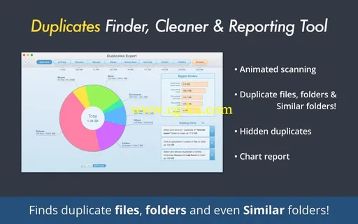 Duplicates Expert 3.0.4 Mac OS X的图片1